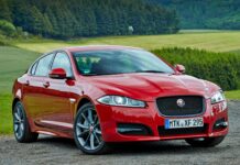 Jaguar — История Анатомия и Интересные Факты Jaguar - История Анатомия и Интересные Факты